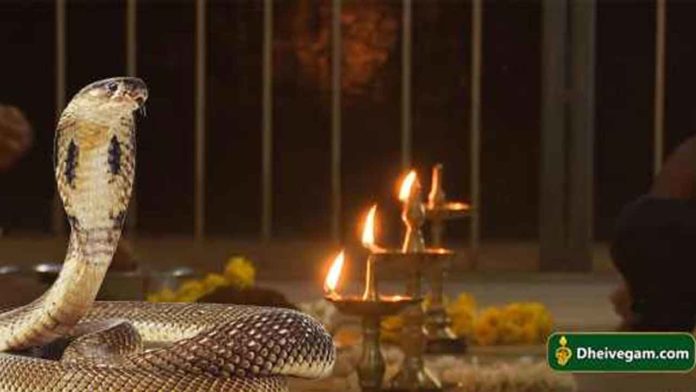 snake in pooja