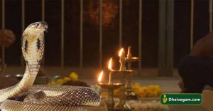 snake in pooja