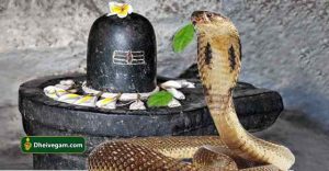 Snake with lingam