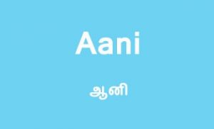 Aani month Tamil calendar special