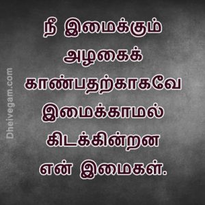 Featured image of post Whatsapp Dp Tamil Kavithai Image - Tamil images for whatsapp profile.