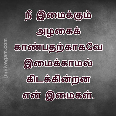 Love quotes in Tamil