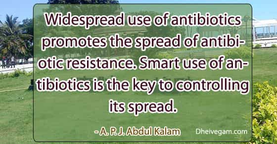 Abdul Kalam Quotes