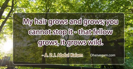 Abdul Kalam Quotes