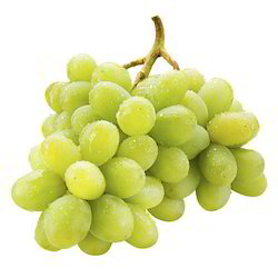 Benefits of grapes in Tamil