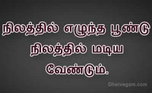 Featured image of post Porumai Amaithi Quotes In Tamil