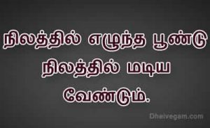 Proverbs in Tamil