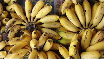 banana 4-compressed