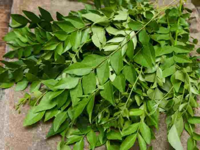 karuveppilai-benefits-in-tamil