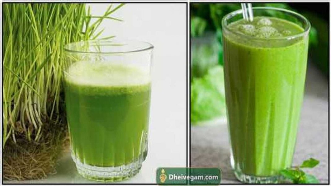 அருகம்புல் ஜூஸ் பயன்கள் Arugampul juice benefits in Tamil