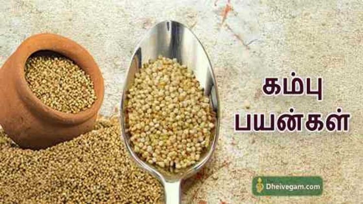 கம்பு பயன்கள் | Kambu benefits in Tamil | Kambu uses in Tamil