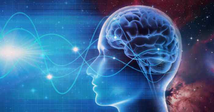 brainwaves moolai