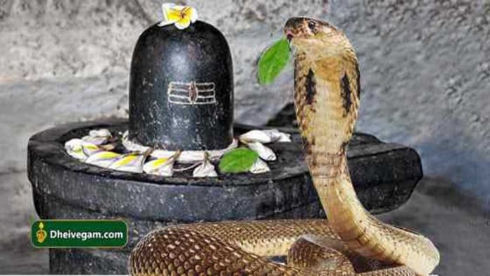 Snake-with-lingam