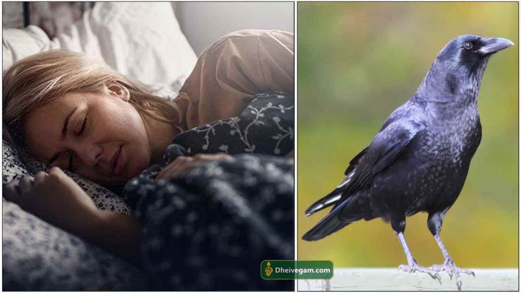 CROW FACTS IN TAMIL visual data 4