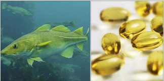 fish-liver-oil