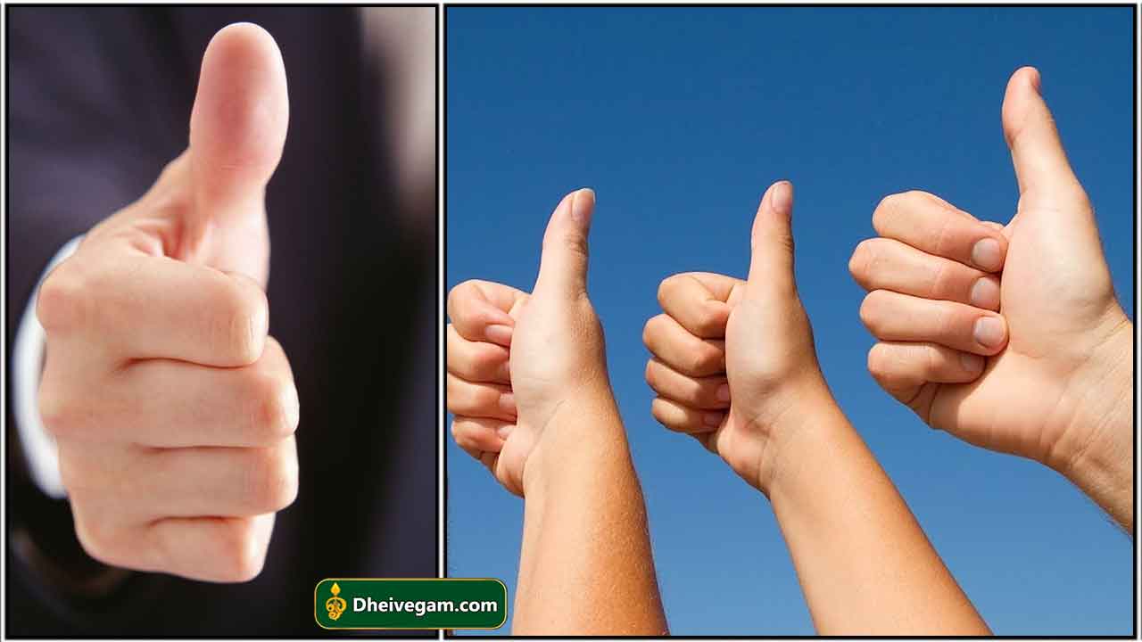 thumb-finger