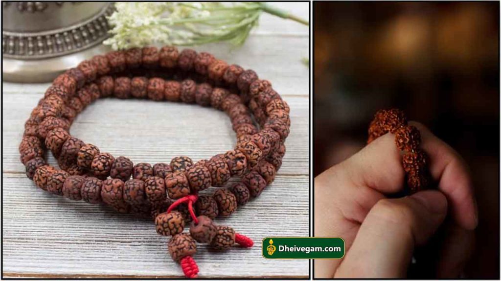 ருத்ராட்சம் பயன்கள் | Ruthratcham benefits in Tamil | Ruthratcham uses