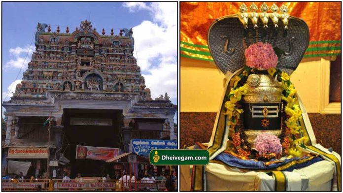 nellaiyappar-temple3