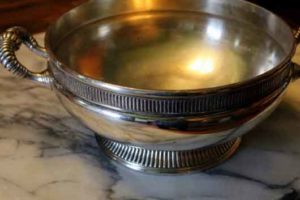 silver bowl with water