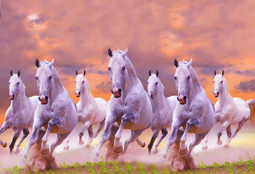 7-horse-vastu-direction-in-home