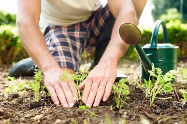 வீட்டுத்தோட்டம் அமைக்கும் முறை | Gardening at home in Tamil