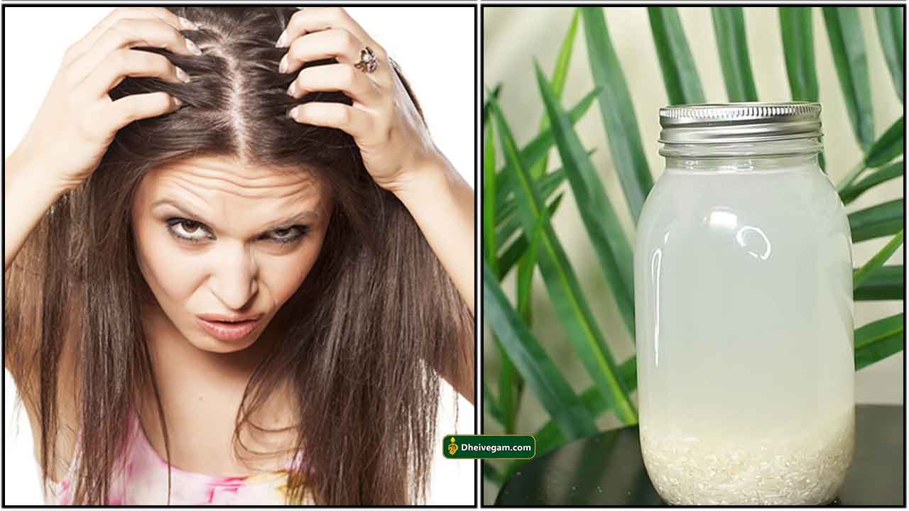 அரச கழவய தணணர மட வளரவத எபபட  Rice water hair growth in Tamil