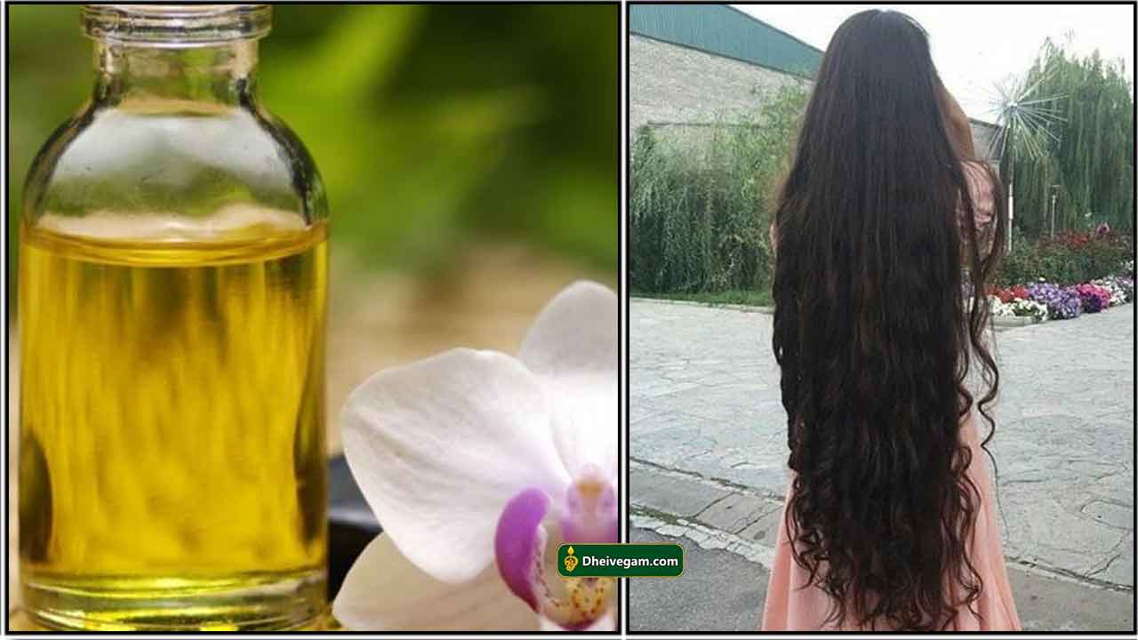 Shree Maruthi Natural hari oil hair growth oill suitable for men & women oil  500 ml Hair Oil - Price in India, Buy Shree Maruthi Natural hari oil hair  growth oill suitable