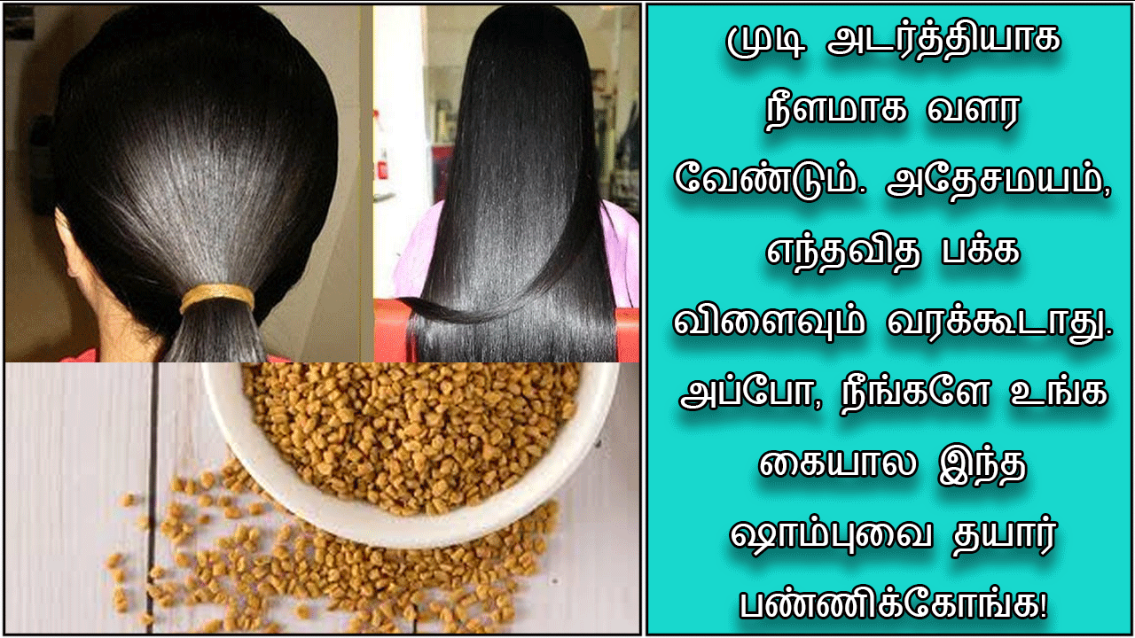 இயற்கை ஷாம்பு தயாரிப்பது எப்படி | homemade shampoo for hair growth in tamil