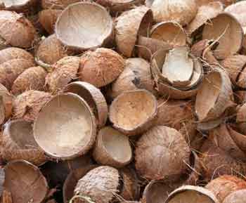 coconut-shell