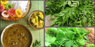 curry-cothamalli-gravy