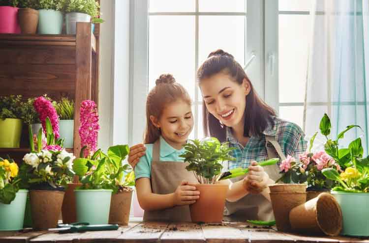home-gardening