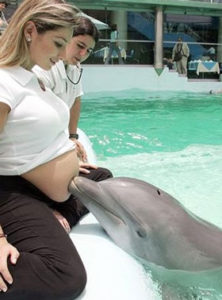 dolphin-therapy