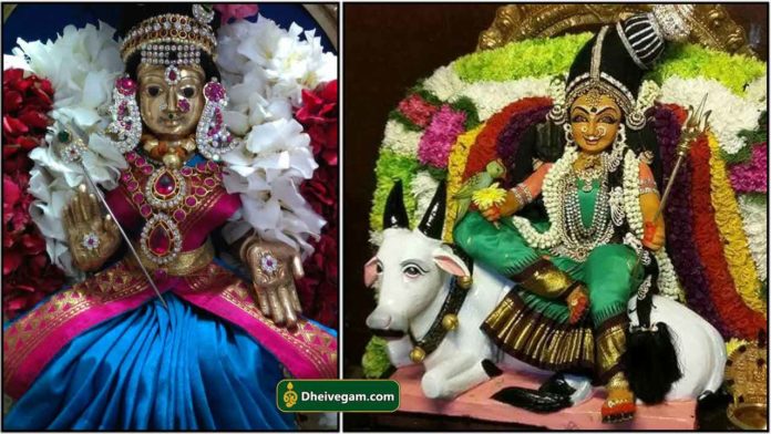 maheshwari-amma