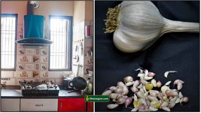 kitchen-garlic