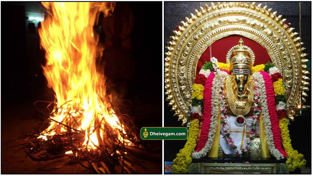 போகிப் பண்டிகை என்றால் என்ன | About bhogi ...