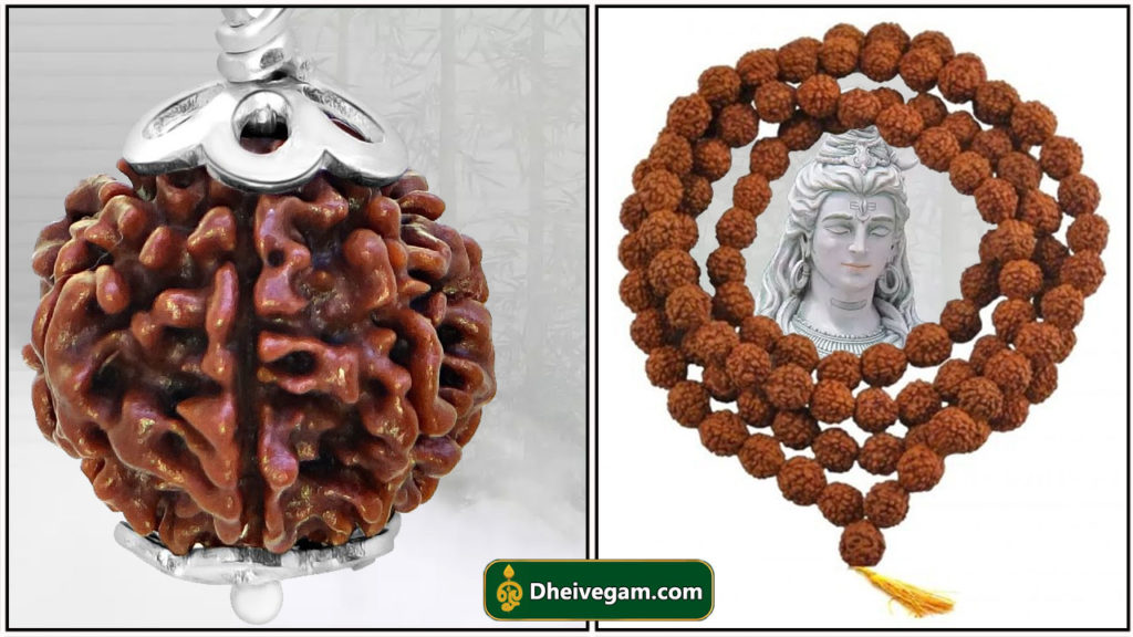 ருத்ராட்சம் அணிவதால் ஏற்படும் நன்மைகள் | Ruthratcham