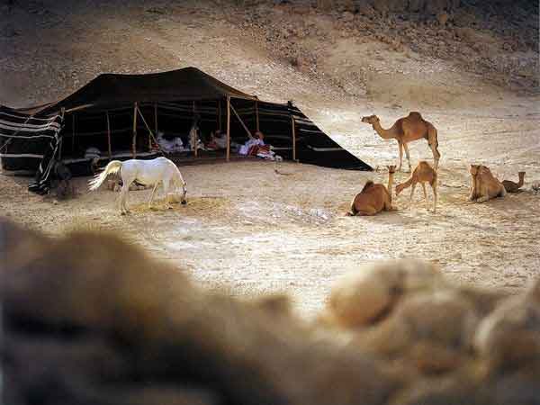 camel tent
