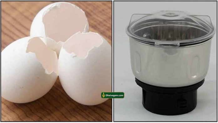 egg-shell-mixie-jar