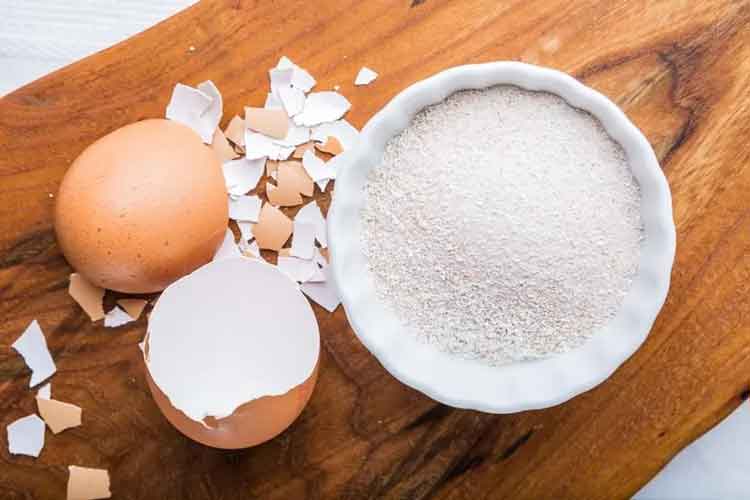 egg-shell-powder