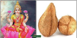 lakshmi-coconut