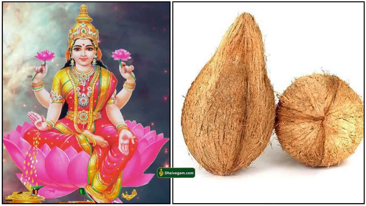 lakshmi-coconut