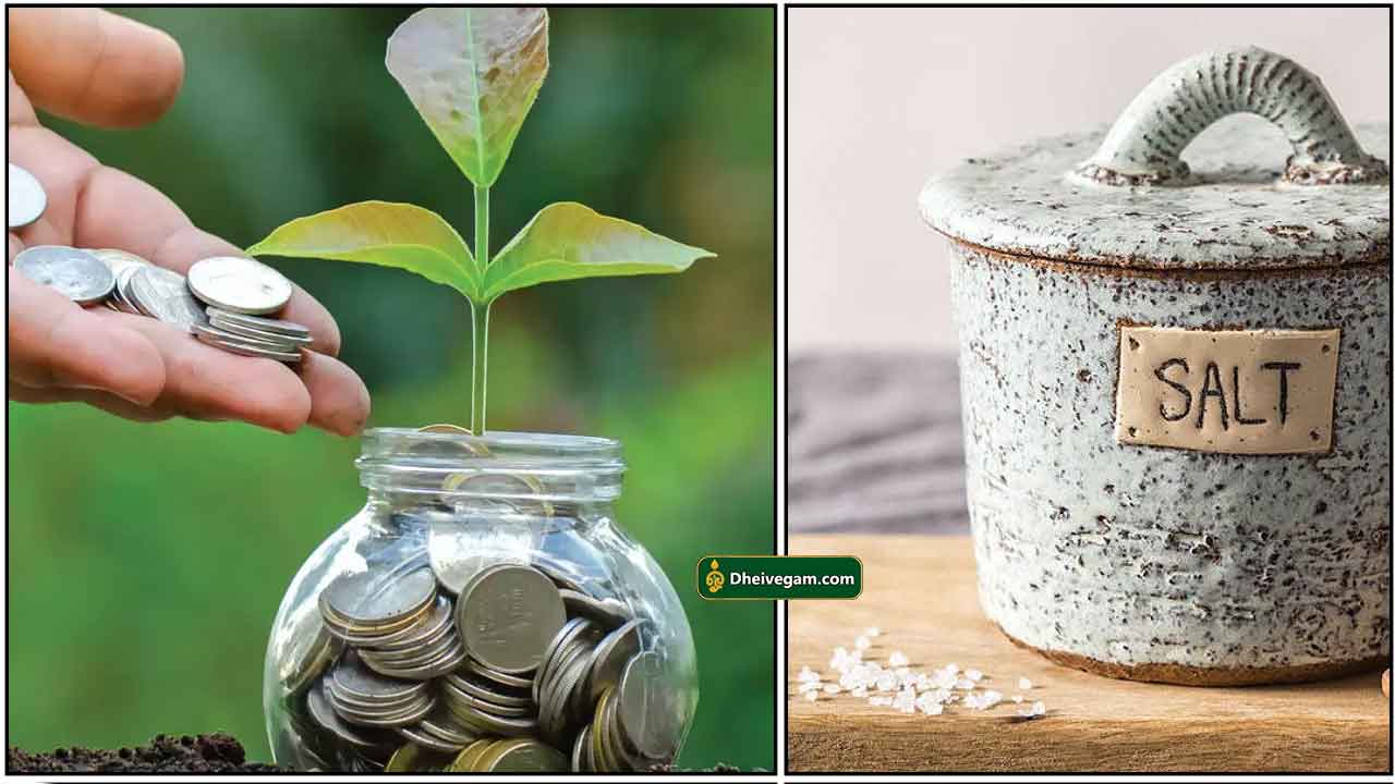 money-plant-salt-jar