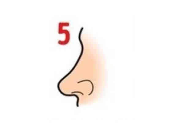 nose5