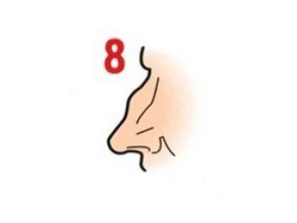 nose8