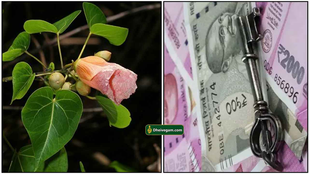 poovarasan-leaf-cash