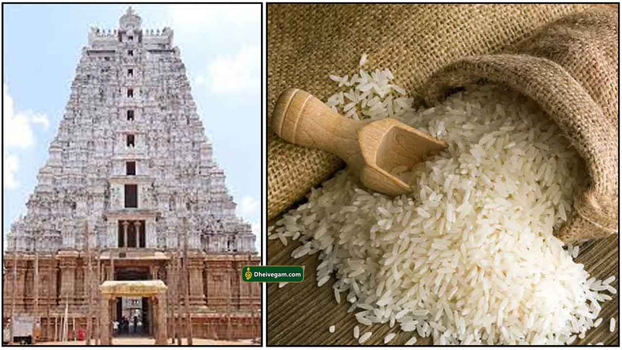 gopuram-rice