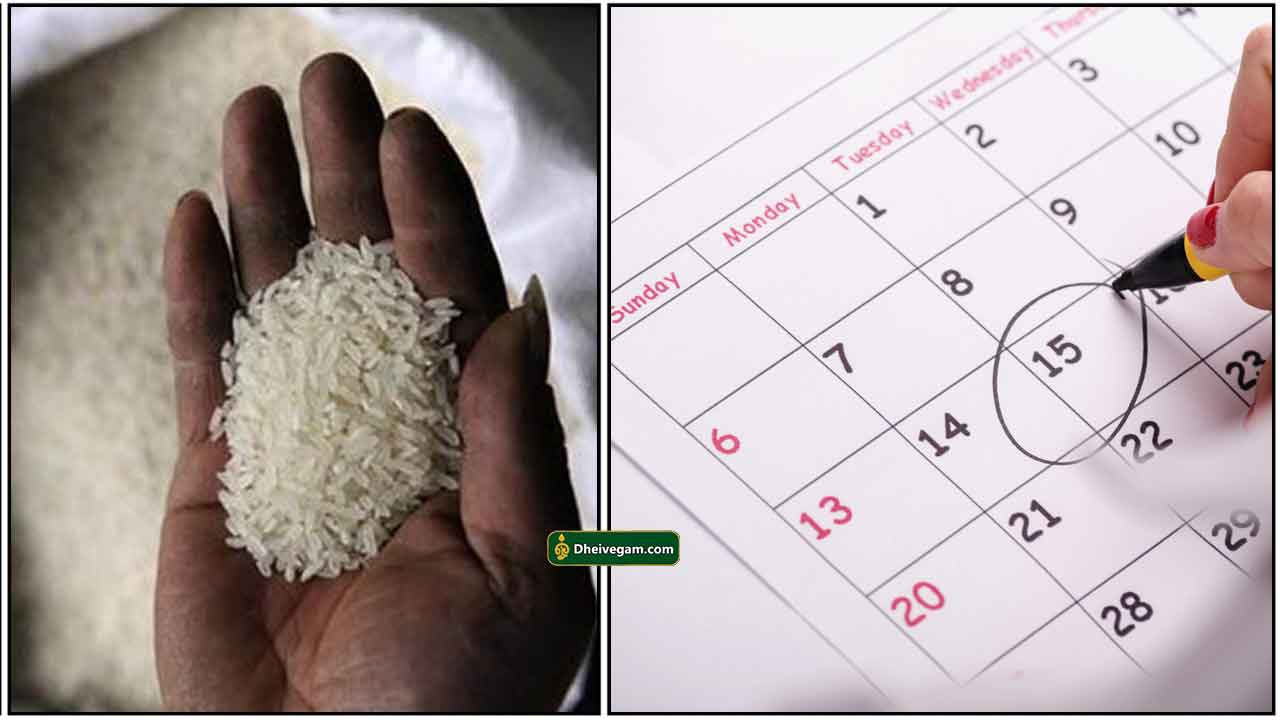 rice-date-calendar