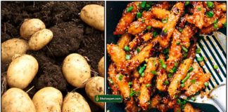 potato-chilli