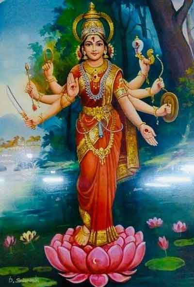 vijaya-lakshmi1