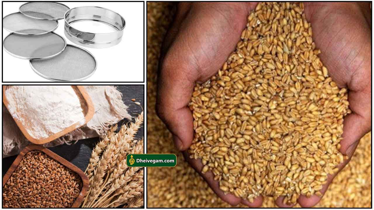 wheat-process